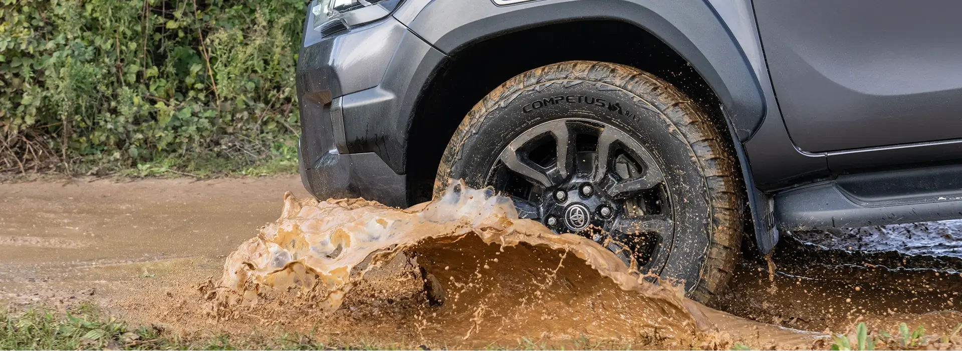 Competus HP3 Image 6