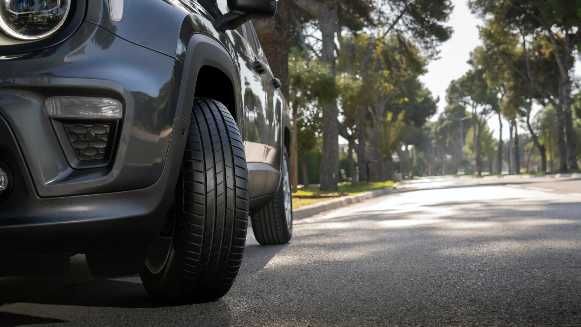 Competus HP3 Image 2