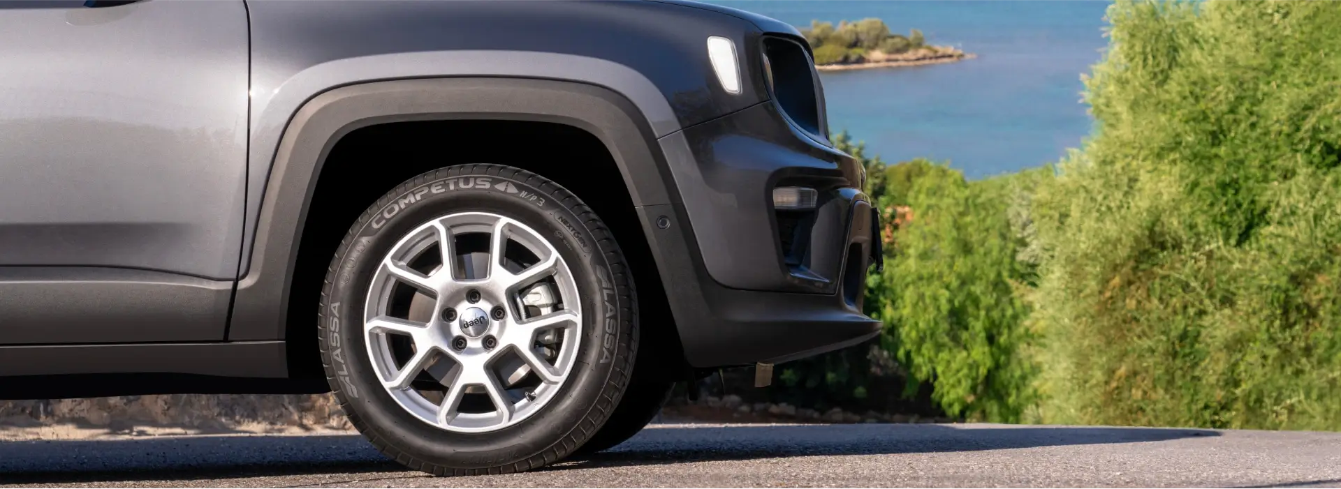 Competus HP3 Image 3