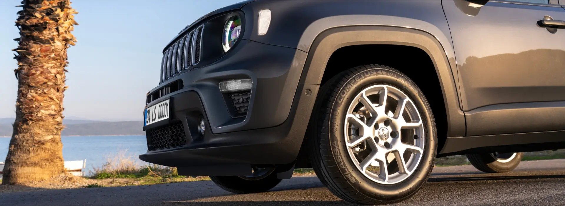 Competus HP3 Image 4