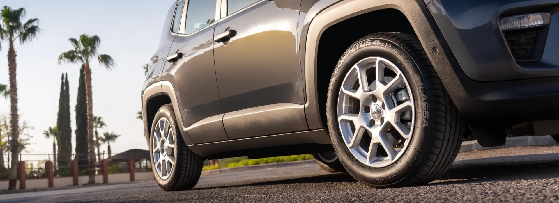 Competus HP3 Image 6