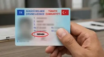 Ehliyet Seri No Nerede Yazar? Yeni ve Eski Ehliyetler İçin Detaylı Rehber
